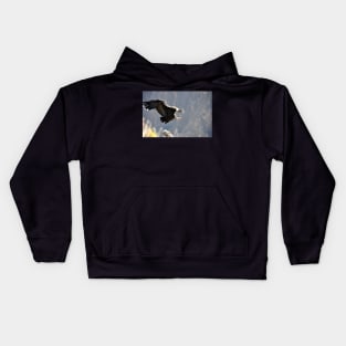 Pérou - canyon de colca, Condor Kids Hoodie